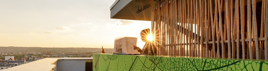 IT-Prozessmanager (d/m/w), 1. Bild